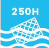 250 hours